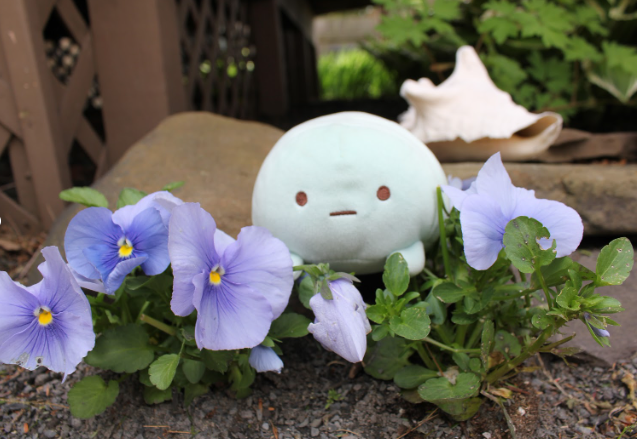 in da flowes