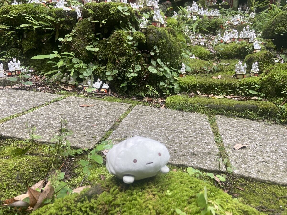 nature